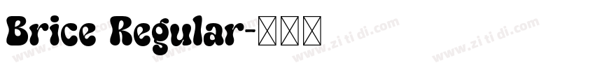 Brice Regular字体转换